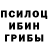 Галлюциногенные грибы MAGIC MUSHROOMS Gabit Kambarbaev