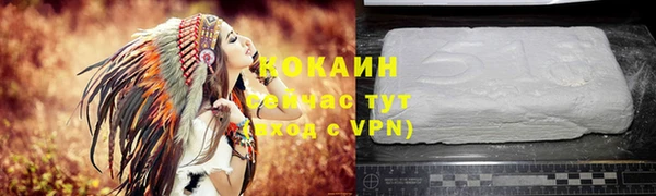 соль ск Абаза