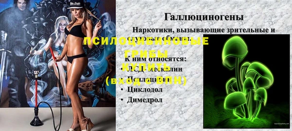 соль ск Абаза