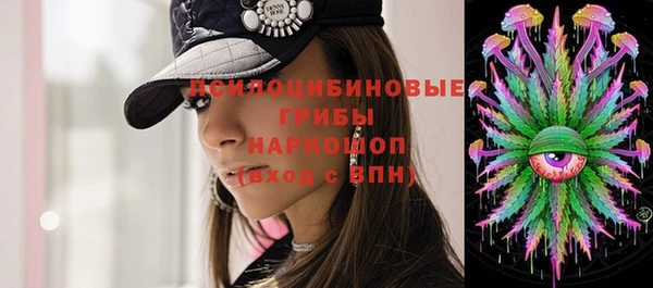 соль ск Абаза