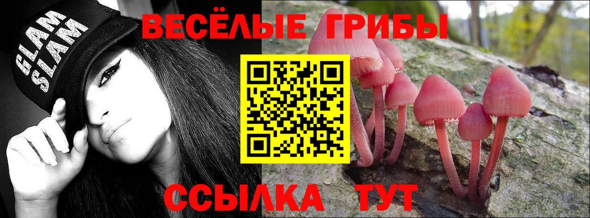 Галлюциногенные грибы прущие грибы Смоленск