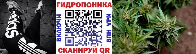 Бошки Шишки гибрид  МЕГА как зайти  Смоленск 